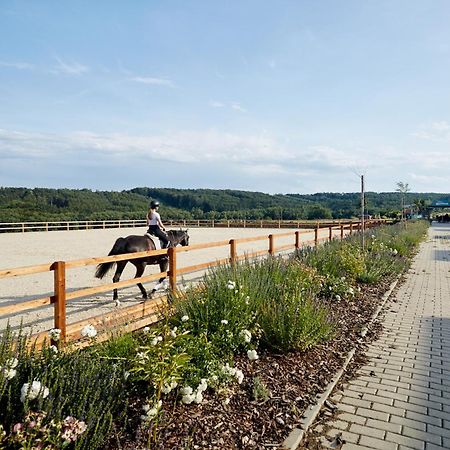 Bilichov Hotel ภายนอก รูปภาพ